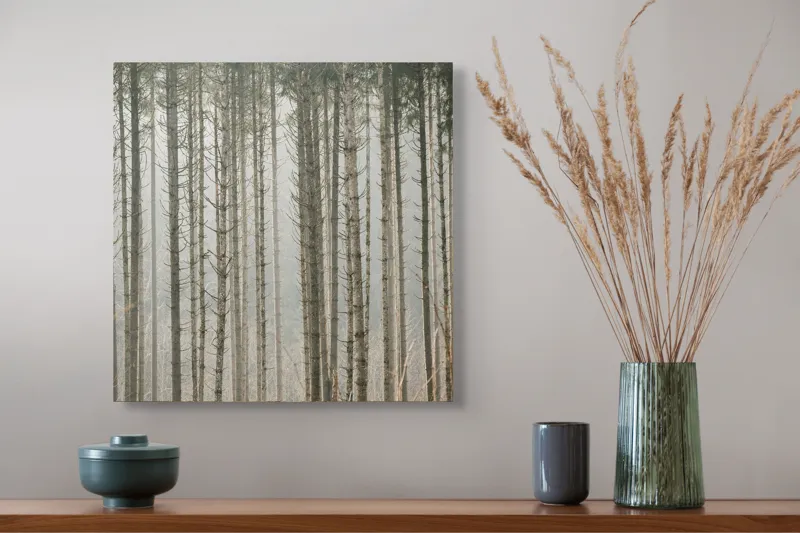 Tablou Canvas cu Pădure în Ceață, , Multicolor, 50 x 50 cm – poza 4