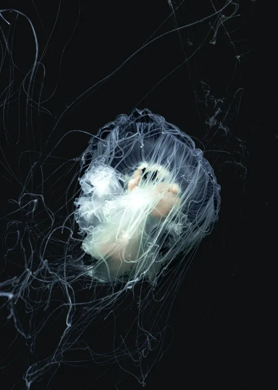 Tablou Canvas cu Meduză Albastră, 50 x 70 cm – poza 2