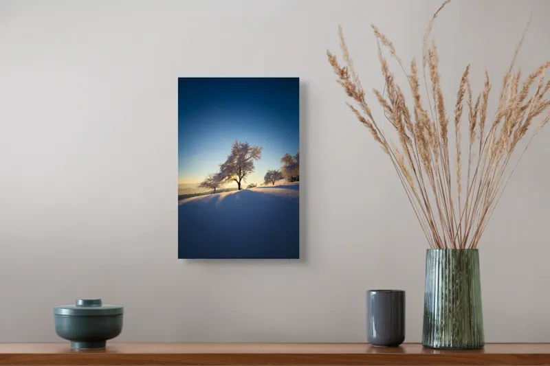 Tablou Canvas Peisaj Iernatic cu Copaci sub Cer Senit, 26 x 39 cm – poza 5