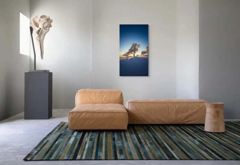 Tablou Canvas Peisaj Iernatic cu Copaci sub Cer Senit, 50 x 90 cm – poza 5