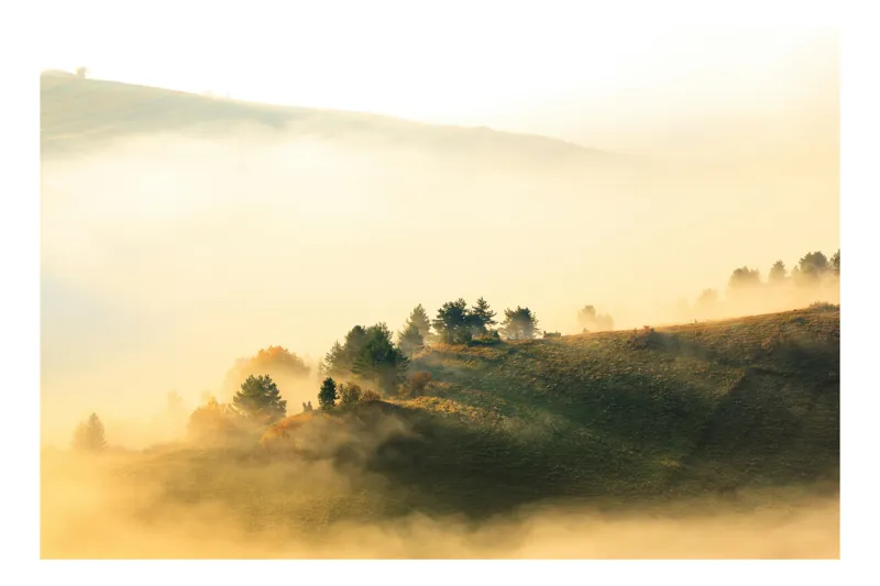 Tablou Canvas Peisaj Ceață Natura Mister Verdeață Calm, 90 x 50 cm