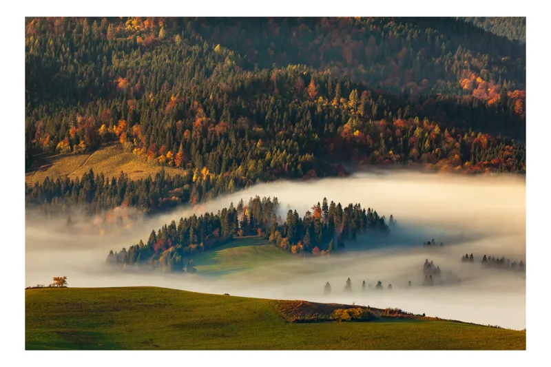 Tablou Canvas Peisaj Toamnă Pădure Culori Natură Mister, 70 x 50 cm