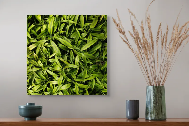 Tablou Canvas Frunze Verzi Revitalizante Naturale Vibrante, 50 x 50 cm – poza 4