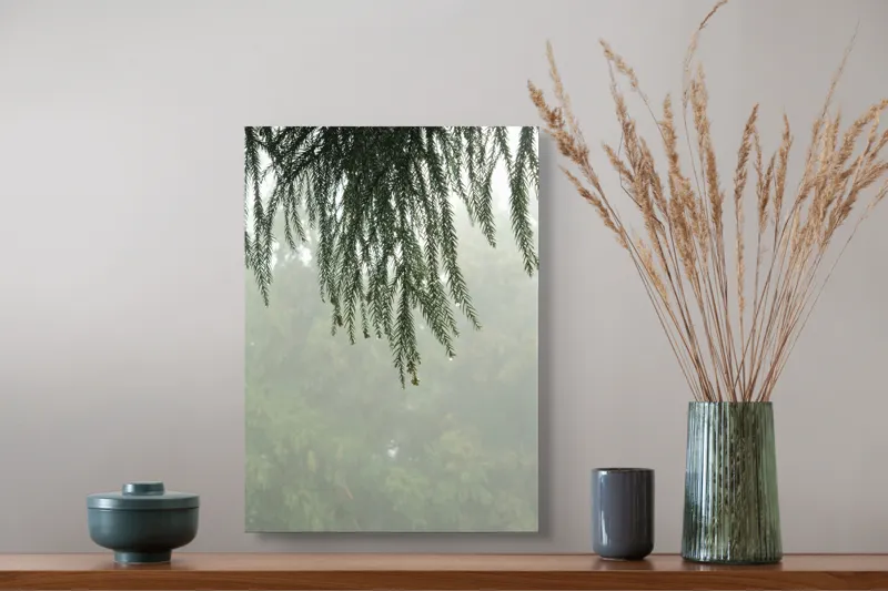 Tablou Canvas Ramuri de brad în ceață misterioasă Natură Melancolie, 39 x 54 cm – poza 3