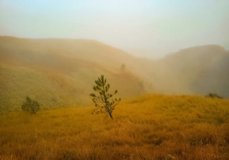 Tablou Canvas Peisaj Natură Ceață Solitudine Armonie Calm, 100 x 70 cm – poza 2