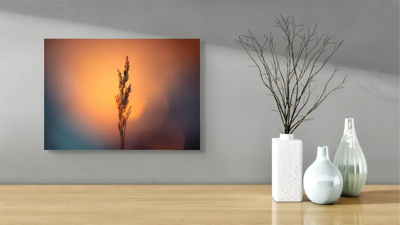 Tablou Canvas Natură Apus Siluetă Iarbă Lumină Contrast Simplitate, 54 x 39 cm – poza 3