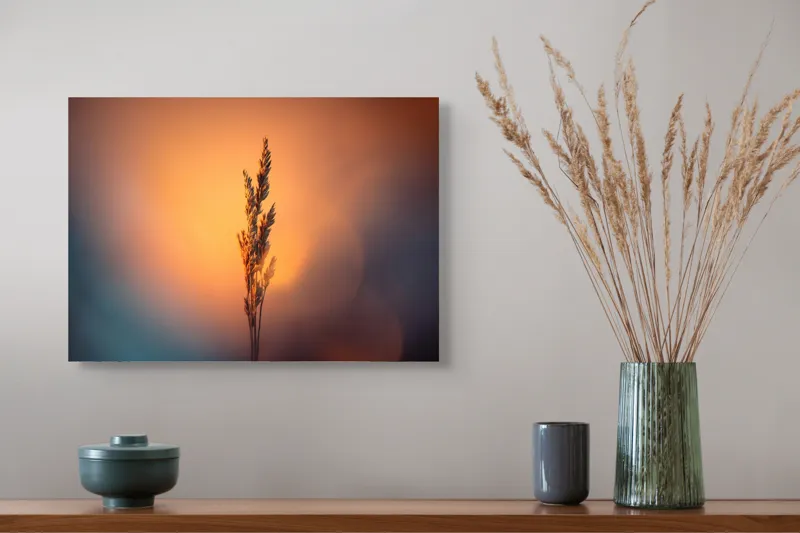 Tablou Canvas Natură Apus Siluetă Iarbă Lumină Contrast Simplitate, 54 x 39 cm – poza 4