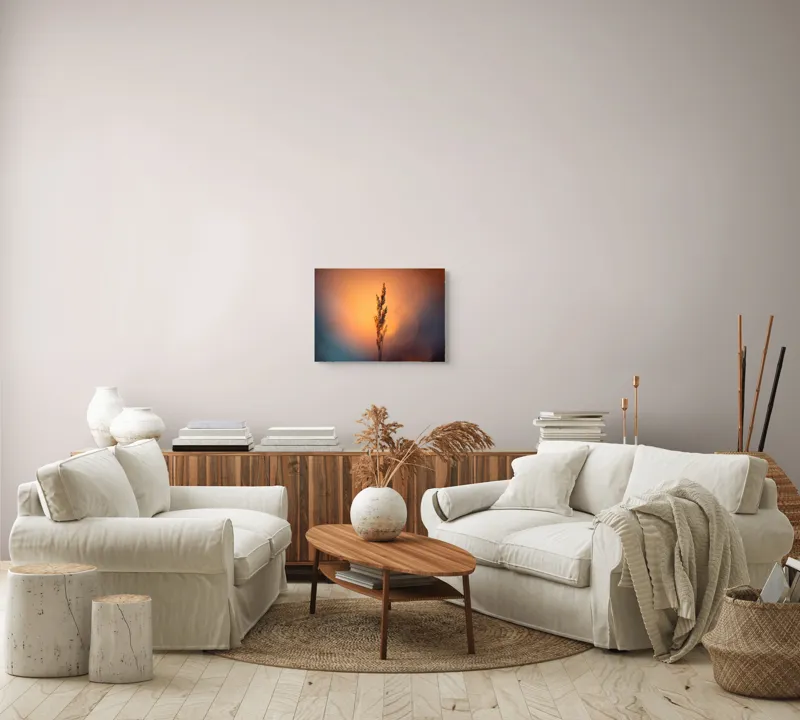 Tablou Canvas Natură Apus Siluetă Iarbă Lumină Contrast Simplitate, 54 x 39 cm – poza 5
