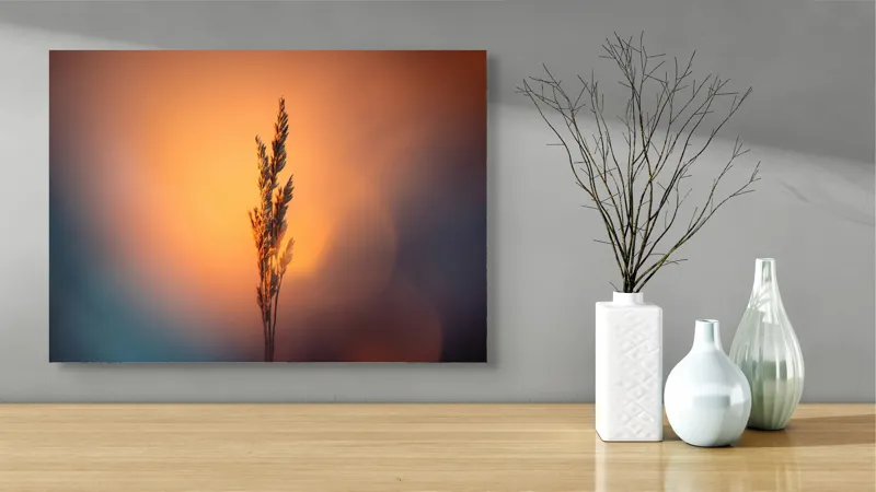 Tablou Canvas Natură Apus Siluetă Iarbă Lumină Contrast Simplitate, 70 x 50 cm – poza 3