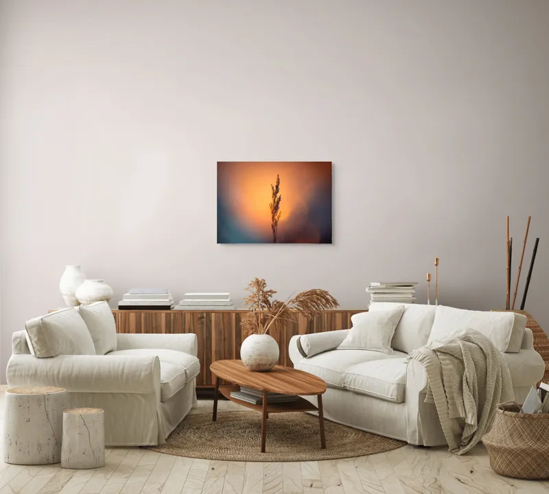 Tablou Canvas Natură Apus Siluetă Iarbă Lumină Contrast Simplitate, 70 x 50 cm – poza 6