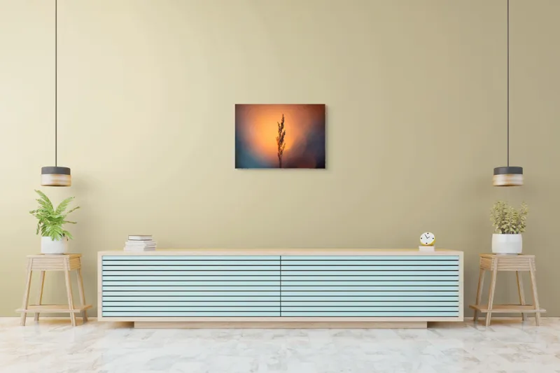 Tablou Canvas Natură Apus Siluetă Iarbă Lumină Contrast Simplitate, 70 x 50 cm – poza 7