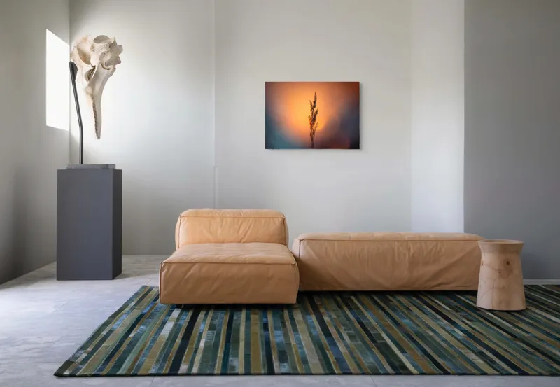 Tablou Canvas Natură Apus Siluetă Iarbă Lumină Contrast Simplitate, 70 x 50 cm – poza 8