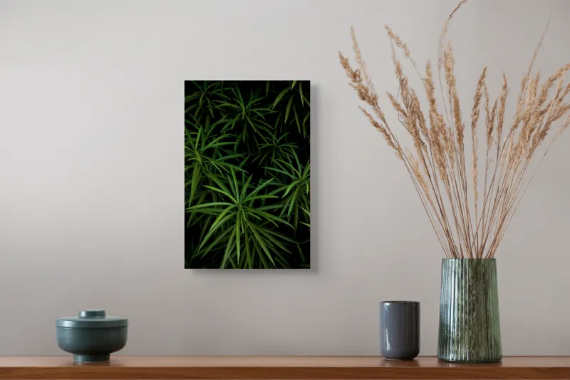 Tablou Canvas Frunziș Verde Natură Tropical Abundență Textură, 26 x 39 cm – poza 5