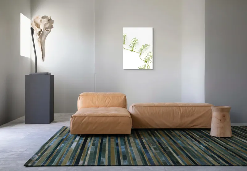 Tablou Canvas Frunze Verzi pe Fond Alb - Design Natural și Minimalist, 50 x 70 cm – poza 7