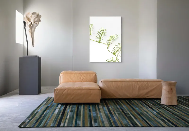 Tablou Canvas Frunze Verzi pe Fond Alb - Design Natural și Minimalist, 70 x 100 cm – poza 7