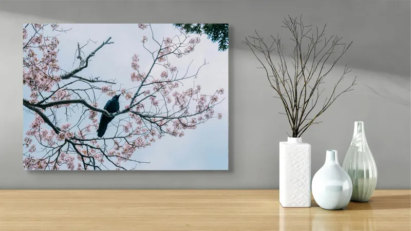 Tablou Canvas Primăvară Corb pe Ramură Înflorită Artă Naturală, 70 x 50 cm – poza 3