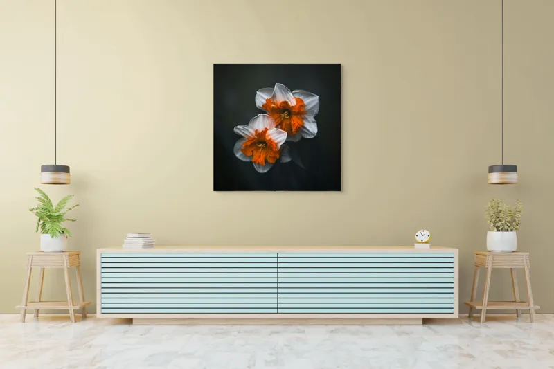 Tablou Canvas Flori de Narcisă în Lumină Difuză Artă Naturală, 100 x 100 cm – poza 5