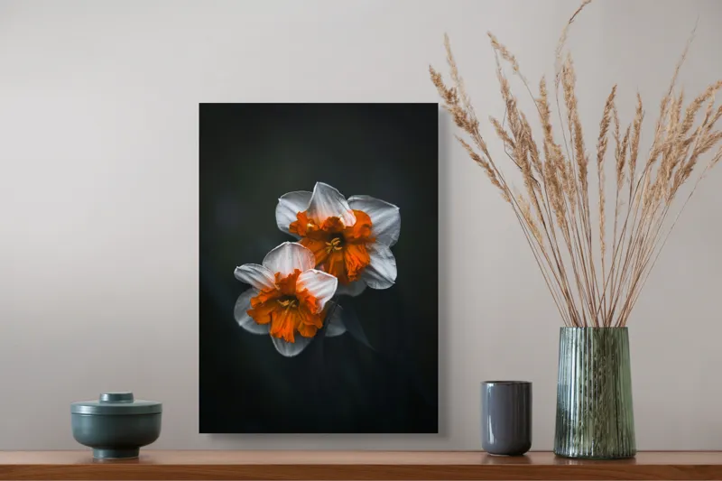 Tablou Canvas Flori de Narcisă în Lumină Difuză Artă Naturală, 39 x 54 cm – poza 3