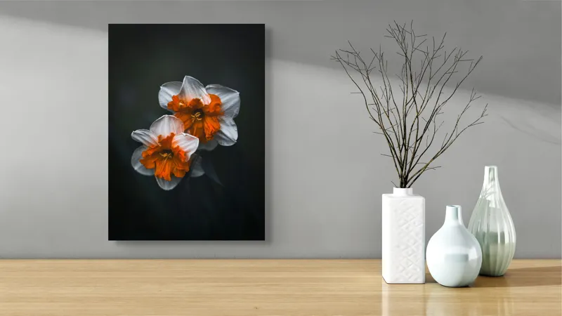 Tablou Canvas Flori de Narcisă în Lumină Difuză Artă Naturală, 39 x 54 cm – poza 4