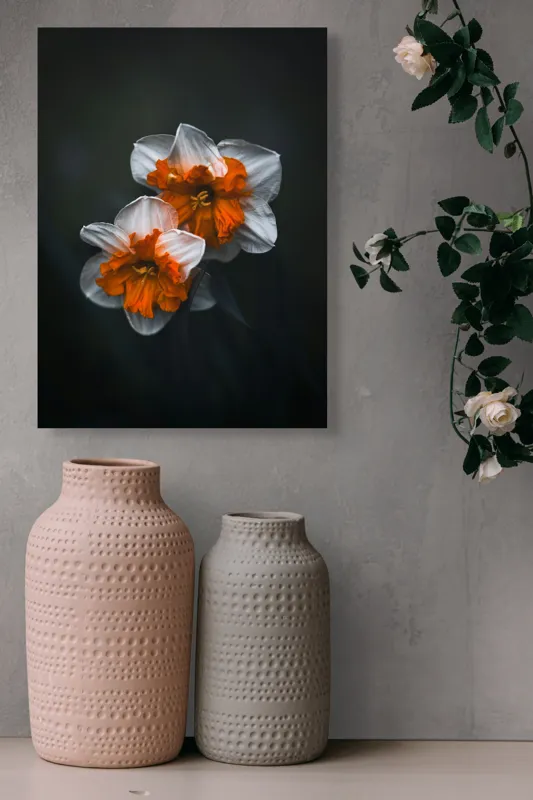 Tablou Canvas Flori de Narcisă în Lumină Difuză Artă Naturală, 39 x 54 cm – poza 6
