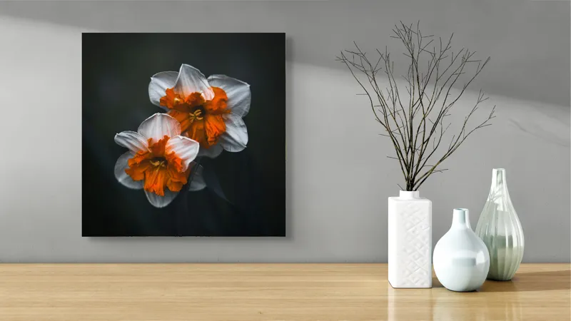 Tablou Canvas Flori de Narcisă în Lumină Difuză Artă Naturală, 50 x 50 cm – poza 3