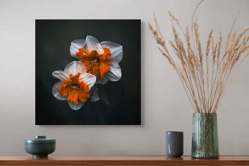 Tablou Canvas Flori de Narcisă în Lumină Difuză Artă Naturală, 50 x 50 cm – poza 4