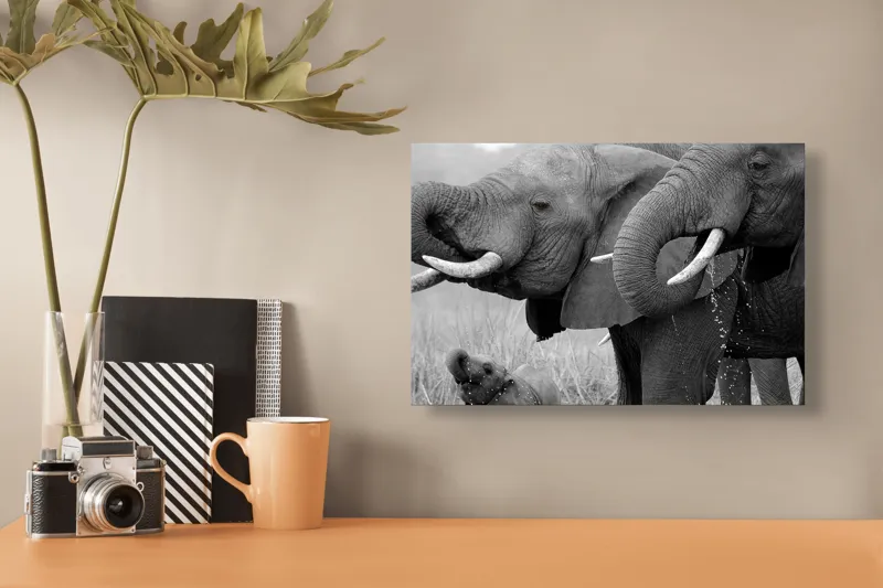 Tablou Canvas Elefanți în bătaia soarelui africanic Natură, 39 x 26 cm – poza 3