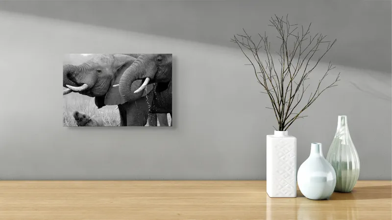 Tablou Canvas Elefanți în bătaia soarelui africanic Natură, 39 x 26 cm – poza 8