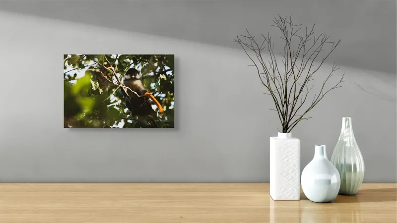 Tablou Canvas Natură Maimuță printre crengi verzi și luminoase, 39 x 26 cm – poza 8