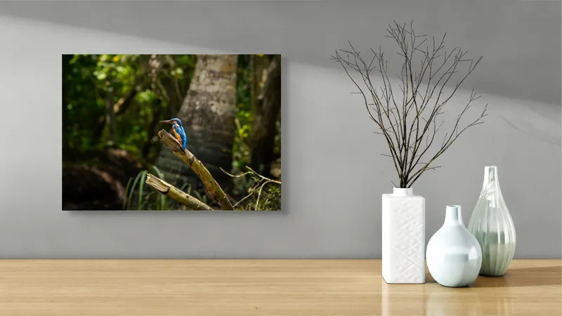 Tablou Canvas Pasărea albastră în pădure, Artă Naturală și Contrast, 54 x 39 cm – poza 3