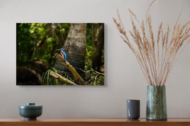 Tablou Canvas Pasărea albastră în pădure, Artă Naturală și Contrast, 54 x 39 cm – poza 4