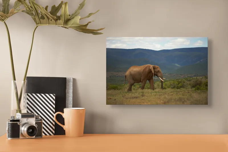 Tablou Canvas Elefant în Savana Africană Peisaj Faună, 39 x 26 cm – poza 3
