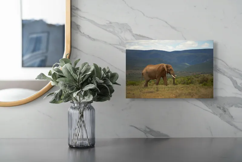 Tablou Canvas Elefant în Savana Africană Peisaj Faună, 39 x 26 cm – poza 5
