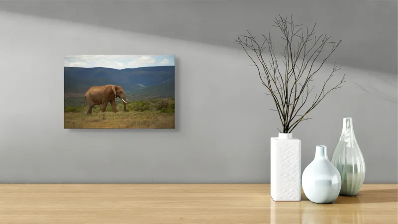 Tablou Canvas Elefant în Savana Africană Peisaj Faună, 39 x 26 cm – poza 8