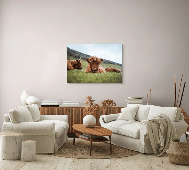 Tablou Canvas Tauri Pufoși Odihnindu-se pe Câmp, 100 x 70 cm – poza 3