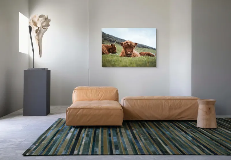 Tablou Canvas Tauri Pufoși Odihnindu-se pe Câmp, 100 x 70 cm – poza 7