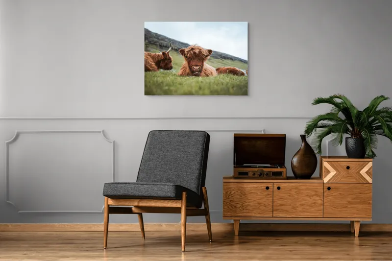 Tablou Canvas Tauri Pufoși Odihnindu-se pe Câmp, 100 x 70 cm – poza 8