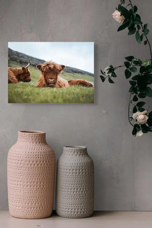 Tablou Canvas Tauri Pufoși Odihnindu-se pe Câmp, 54 x 39 cm – poza 8