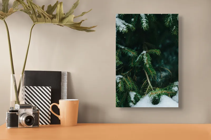 Tablou Canvas Ramuri de Brad acoperite de zăpadă Verde Ace Frunze Gheață Zăpadă, 26 x 39 cm – poza 3