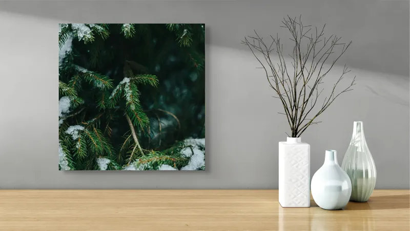 Tablou Canvas Ramuri de Brad acoperite de zăpadă Verde Ace Frunze Gheață Zăpadă, 50 x 50 cm – poza 3