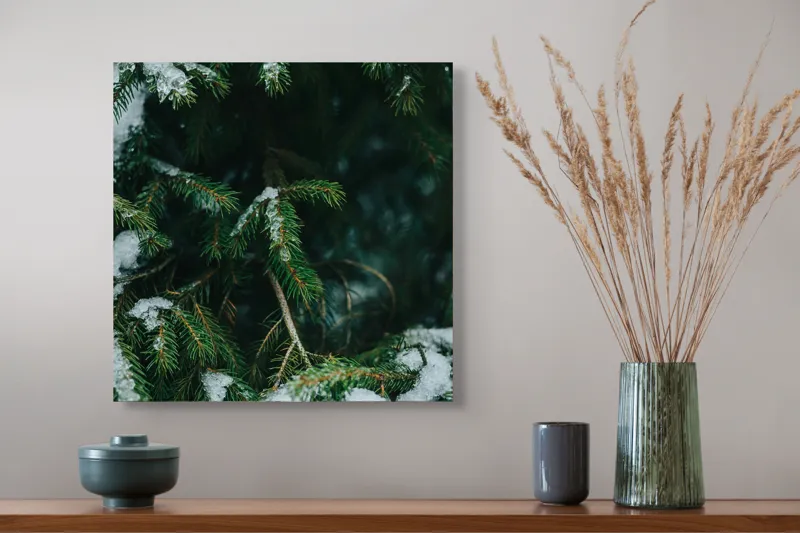 Tablou Canvas Ramuri de Brad acoperite de zăpadă Verde Ace Frunze Gheață Zăpadă, 50 x 50 cm – poza 4
