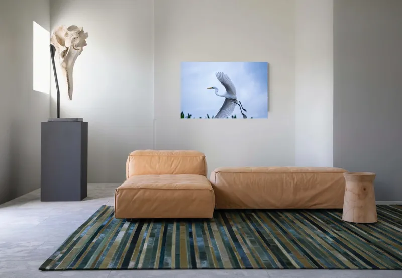 Tablou Canvas Pasăre Zbor Natura Libertate Grație Albastru, 90 x 50 cm – poza 8