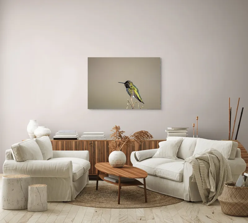 Tablou Canvas Colibri pe crenguță solitară, Artă Naturală, 100 x 70 cm – poza 3