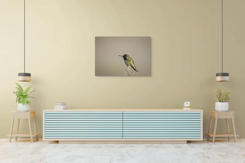 Tablou Canvas Colibri pe crenguță solitară, Artă Naturală, 100 x 70 cm – poza 4