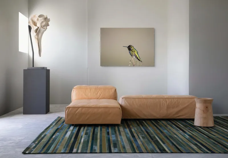 Tablou Canvas Colibri pe crenguță solitară, Artă Naturală, 100 x 70 cm – poza 7