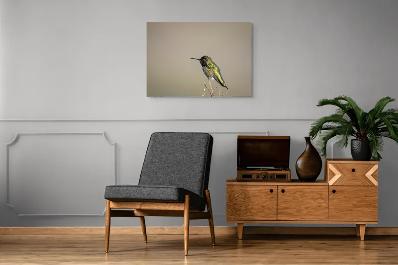 Tablou Canvas Colibri pe crenguță solitară, Artă Naturală, 100 x 70 cm – poza 8