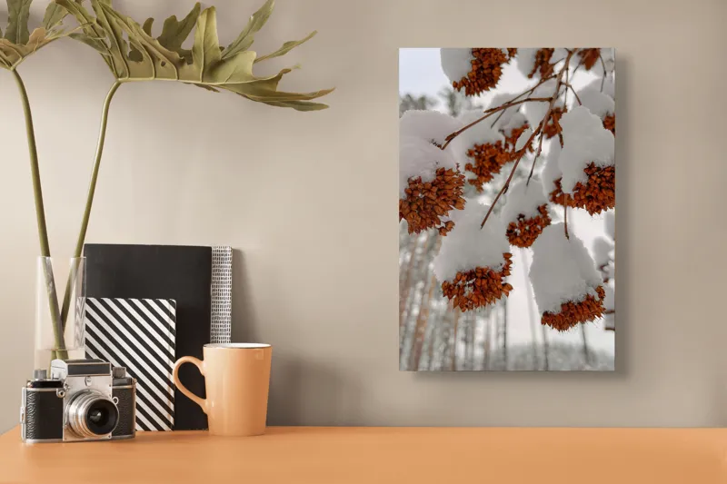 Tablou Canvas, "Florile iernii înveșmântate în zăpadă", Zăpadă, Contrast, Natură, Flori, Iarnă, Crengi, Frumusețe, Răceală, Îngheț, Alb, 26 x 39 cm – poza 3