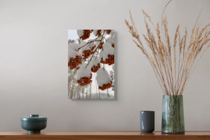 Tablou Canvas, "Florile iernii înveșmântate în zăpadă", Zăpadă, Contrast, Natură, Flori, Iarnă, Crengi, Frumusețe, Răceală, Îngheț, Alb, 26 x 39 cm – poza 5