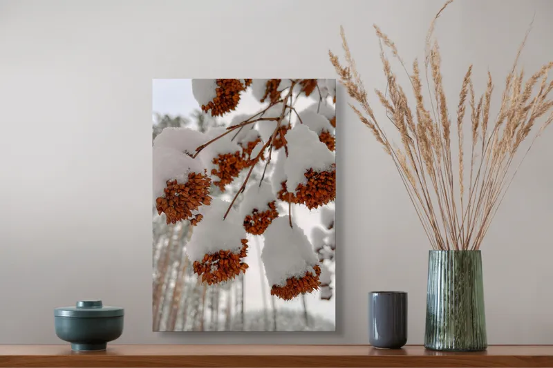 Tablou Canvas, "Florile iernii înveșmântate în zăpadă", Zăpadă, Contrast, Natură, Flori, Iarnă, Crengi, Frumusețe, Răceală, Îngheț, Alb, 39 x 54 cm – poza 3
