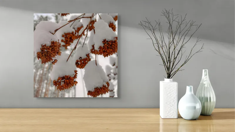 Tablou Canvas, "Florile iernii înveșmântate în zăpadă", Zăpadă, Contrast, Natură, Flori, Iarnă, Crengi, Frumusețe, Răceală, Îngheț, Alb, 50 x 50 cm – poza 3